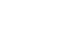 light logo
